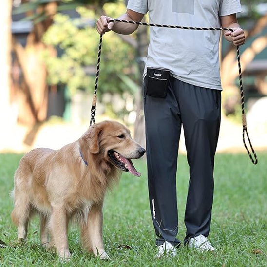 laisse pour chien tressado golden promenade