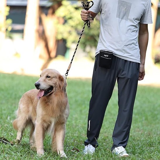 laisse pour chien tressado golden