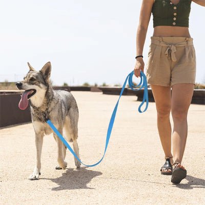 longe chien aquagrip bleu marche