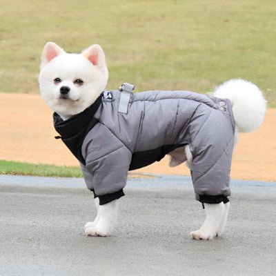manteau chien breezedog gris