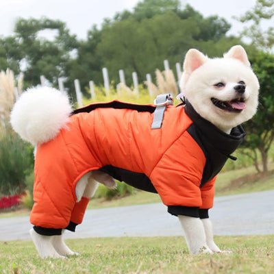 manteau chien breezedog rouge