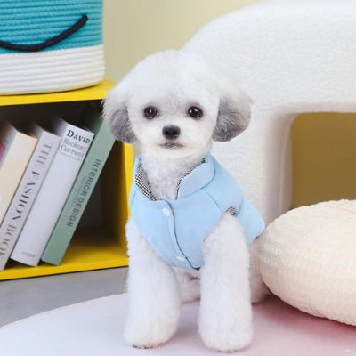 manteau petit chien WinterChou bleu