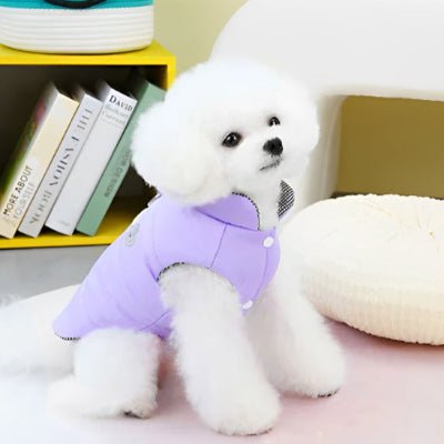 manteau petit chien WinterChou violet