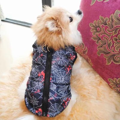 manteau petit chien lovecoat spiderman