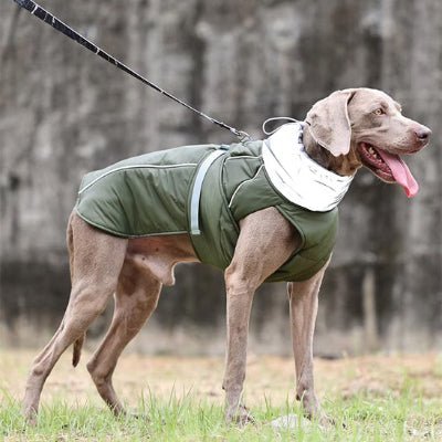 manteau pour chien fallcoat vert chic