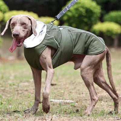 manteau pour chien fallcoat vert detail