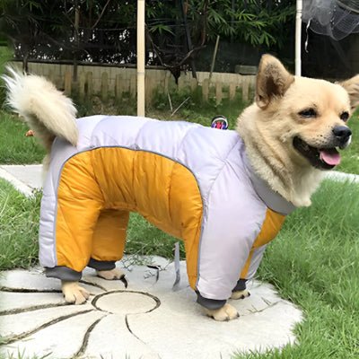 manteau pour chien hiverno jaune