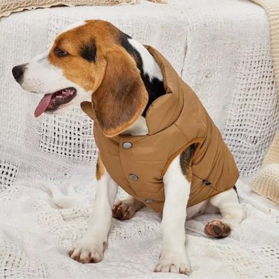 manteau pour petit chien blizzpet kaki