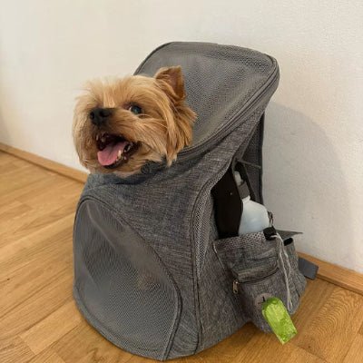 sac a dos pour chien pawpack pratique