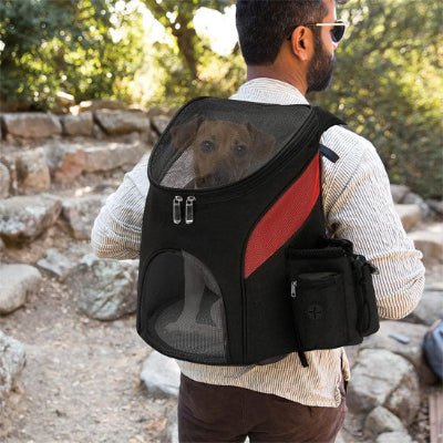 sac a dos pour chien pawpack utile