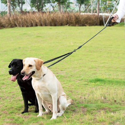 double laisse pour chien duoflex chien relax