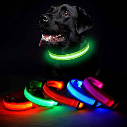 Collier Chien Lumineux - LEDCollarDog™ - Vert