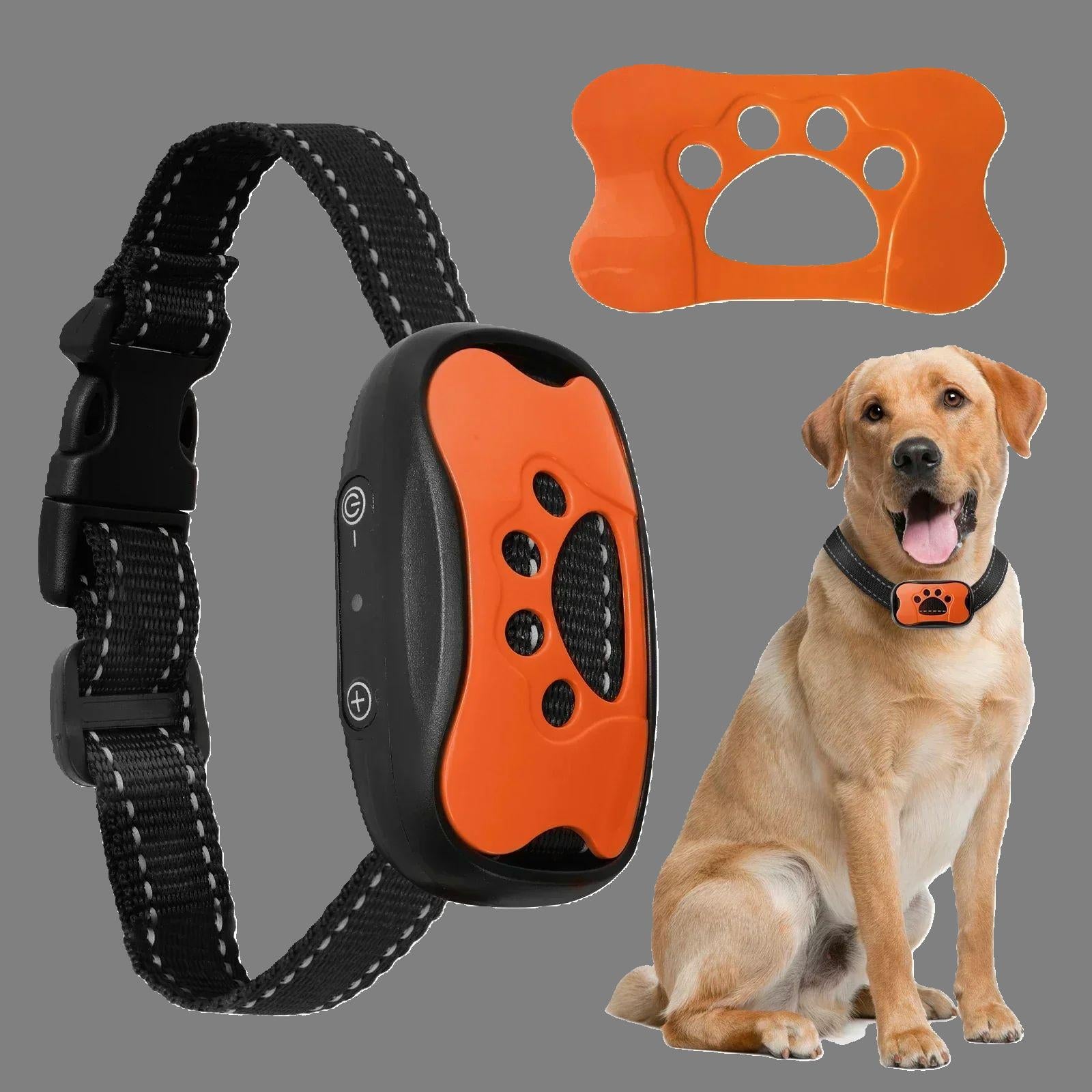 collier anti aboiement calmox orange