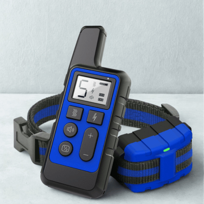 collier anti aboiement pour chien calmdog bleu