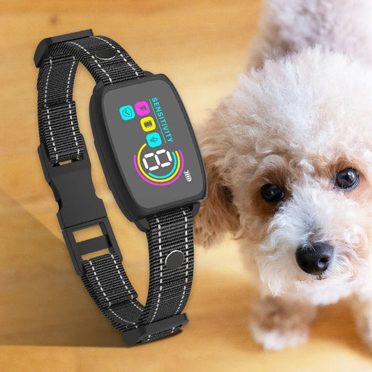 collier anti aboiement pour chien silencio caroussel