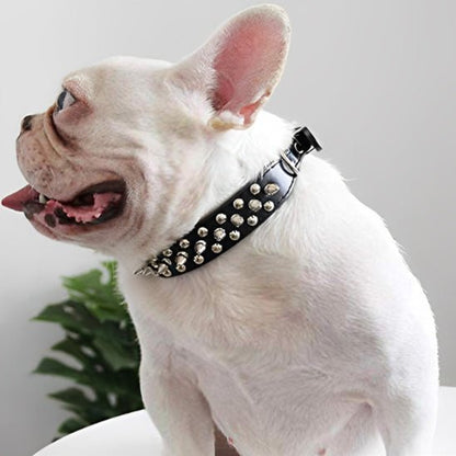 collier chien en cuir rebel pug