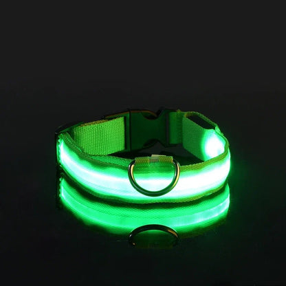 collier chien lumieux Ledcollardog vert