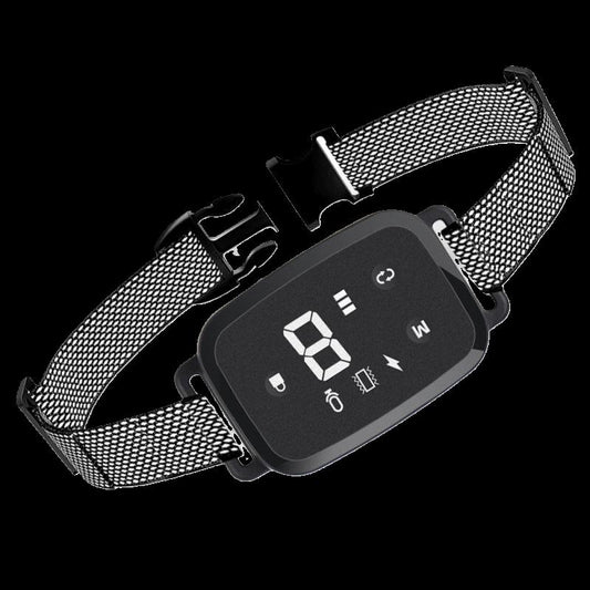 collier de dressage pour chien discipleo