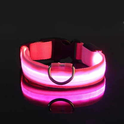 collier lumineux chien LEDCollarDog rose