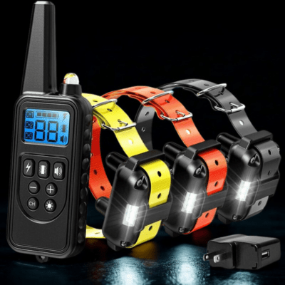 collier pour chien de dressage discipro jaune orange noir