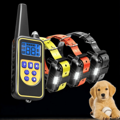 collier pour chien de dressage discipro variante chiot