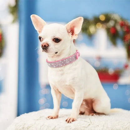 Collier pour Chien en Cuir | Diamélia™
