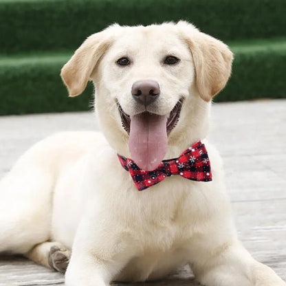 collier pour chien papinoel rouge golden