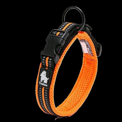 collier pour chien truelove orange seul