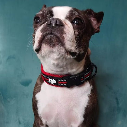 collier pour chien truelove rouge