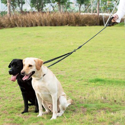 double laisse pour chien duoflex chien relax