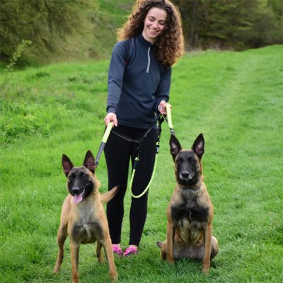 double laisse pour chien flexiduo berger