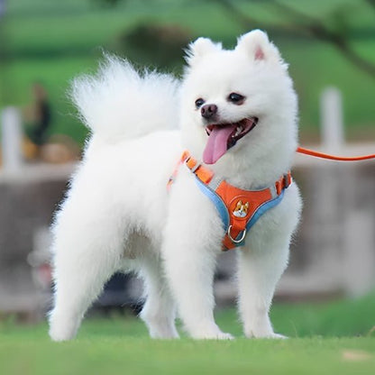 harnais anti traction chien cutedog orange