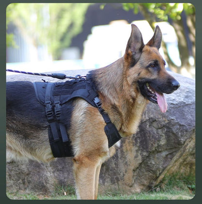 harnais anti traction chien tactikpaw caroussel noir
