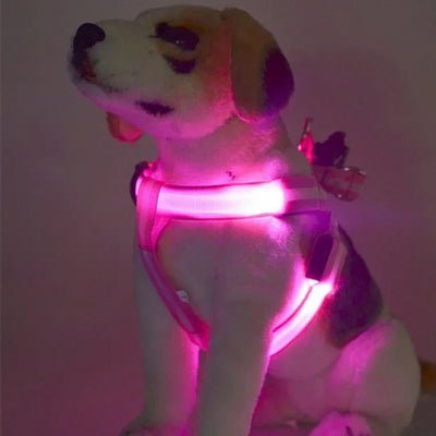 harnais chien anti traction luminessence rose