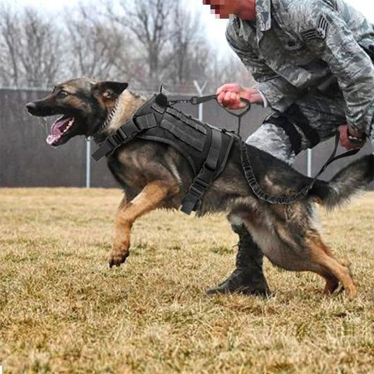 harnais chien anti traction tactika carroussel attaque