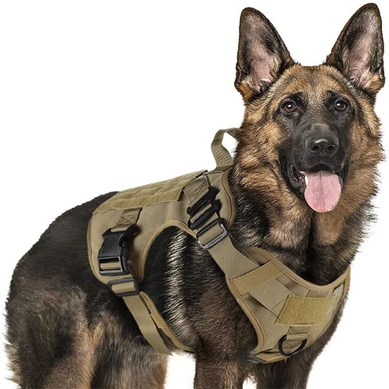 harnais chien anti traction tactika carroussel kaki