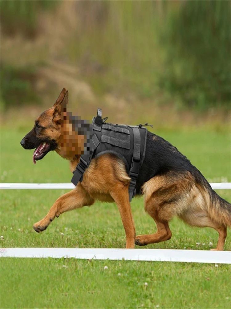 harnais chien anti traction tactika carroussel noir
