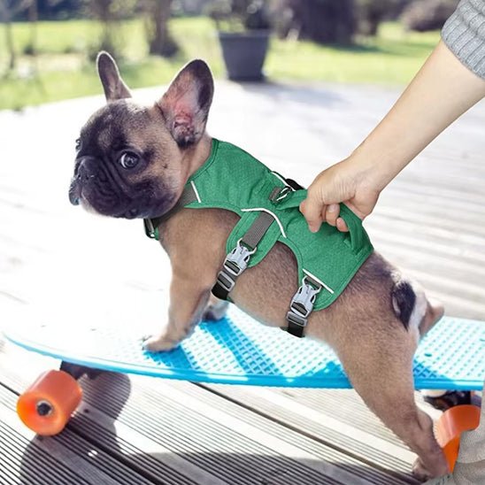 harnais chien harnex carroussel vert pug