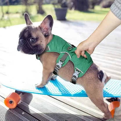 harnais chien harnex carroussel vert pug