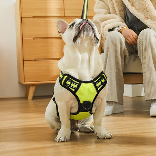 harnais chien harniFly jaune caroussel assis