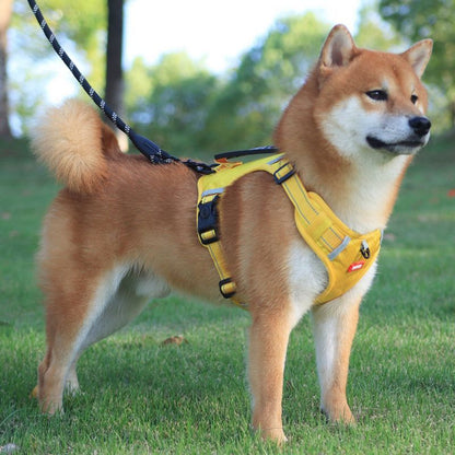 harnais chien pawness jaune