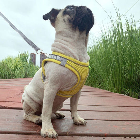 harnais petit chien snugglefit caroussel jaune