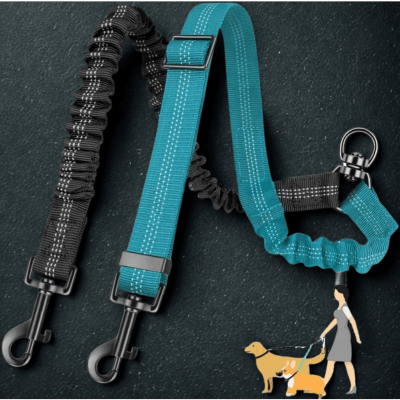 laisse double pour chiens duozen description