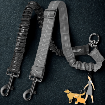 laisse double pour chiens duozen description