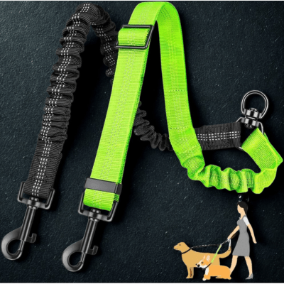 laisse double pour chiens duozen description