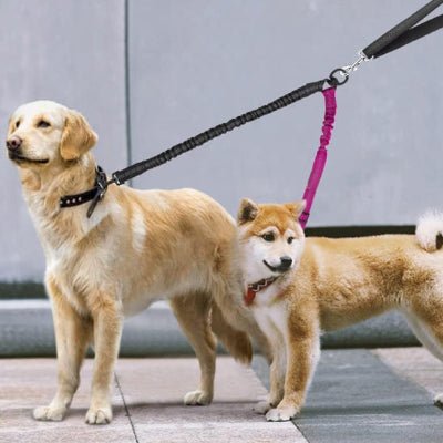 laisse double pour chiens duozen