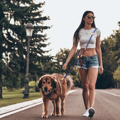 laisse mains libres pour chiens multitrack libre