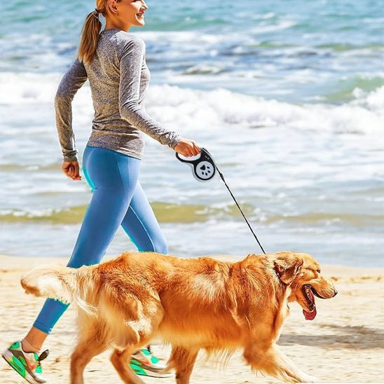 laisse pour chien enrouleur loopiflex noir golden