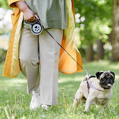 laisse pour chien enrouleur loopiflex noir pug