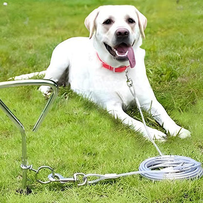 laisse pour chien metallique caroussel labrador